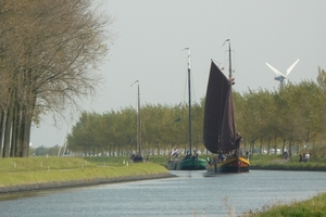 Bietenrace 078