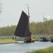 Bietenrace 080