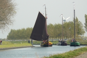 Bietenrace 080