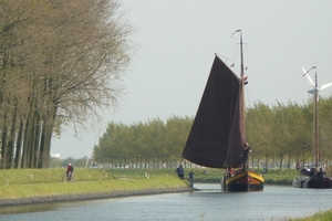 Bietenrace 081