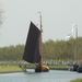 Bietenrace 082