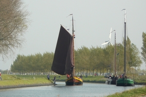 Bietenrace 082