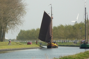 Bietenrace 083