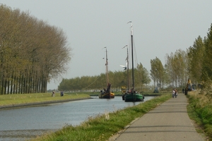 Bietenrace 086