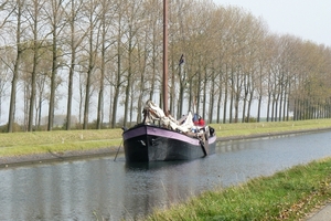 Bietenrace 103