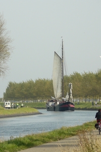 Bietenrace 118