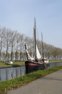 Bietenrace 126