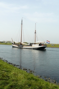 Bietenrace 154