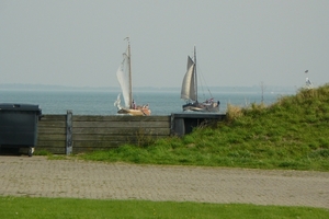 Bietenrace 159