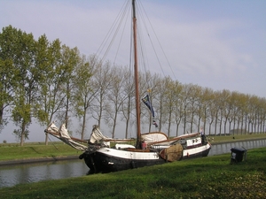 Bietenrace D 011