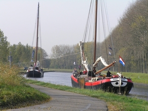 Bietenrace D 019