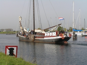 Bietenrace D 024