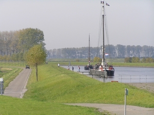 Bietenrace D 028