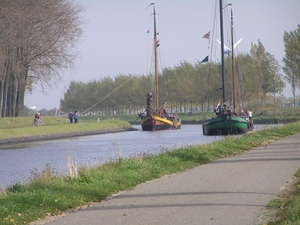 Bietenrace D 048