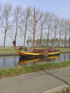 Bietenrace D 055