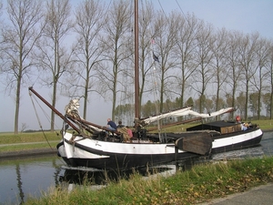 Bietenrace D 064