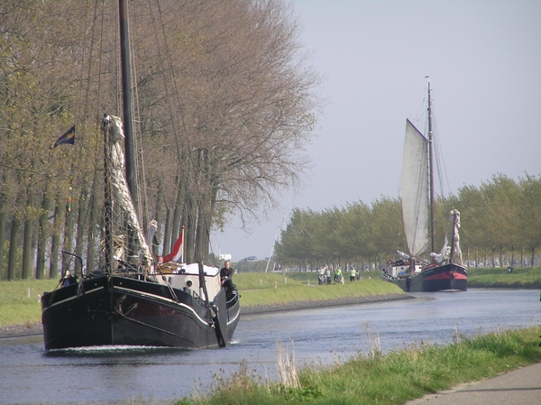 Bietenrace D 066