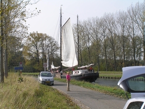 Bietenrace D 074