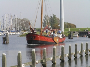 Bietenrace D 076