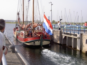 Bietenrace pan 005