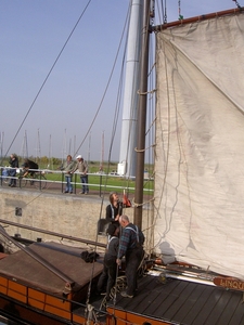 Bietenrace pan 007