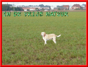 IN DE VRIJE NATUUR