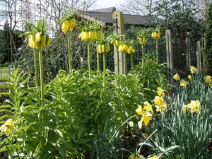tuin22