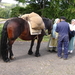 Beamish Museum