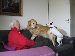 Afbeelding 029