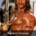 22598_549_bill_mc_conan