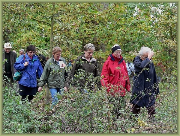 sized_sized_P2000558a senioren KBC