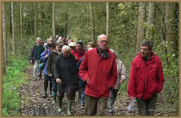 sized_sized_P2000562a senioren KBC