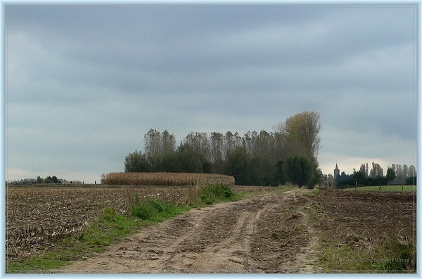 sized_sized_P2000567a senioren KBC faluintjes