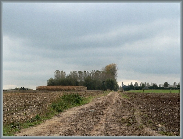 sized_sized_P2000568a senioren KBC faluintjes