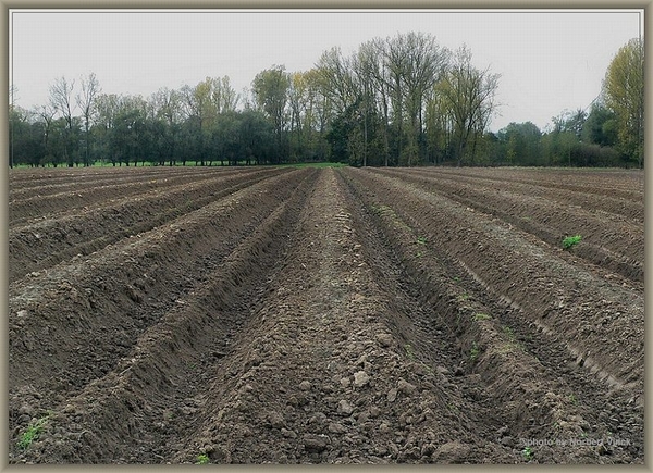 sized_sized_P2000571a senioren KBC faluintjes