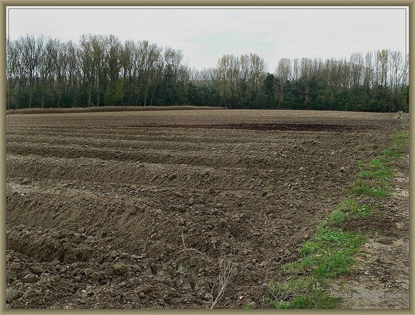 sized_sized_P2000572a senioren KBC faluintjes