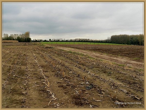 sized_sized_P2000573a senioren KBC faluintjes