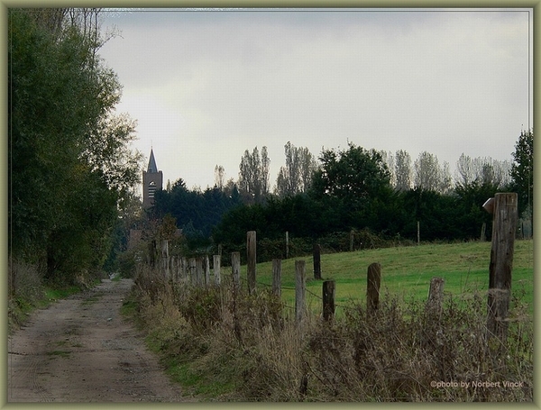 sized_sized_P2000575a senioren KBC faluintjes