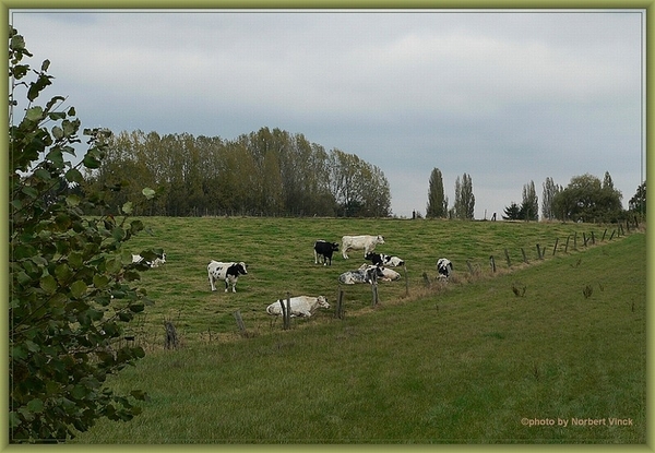 sized_sized_P2000596a senioren KBC faluintjes