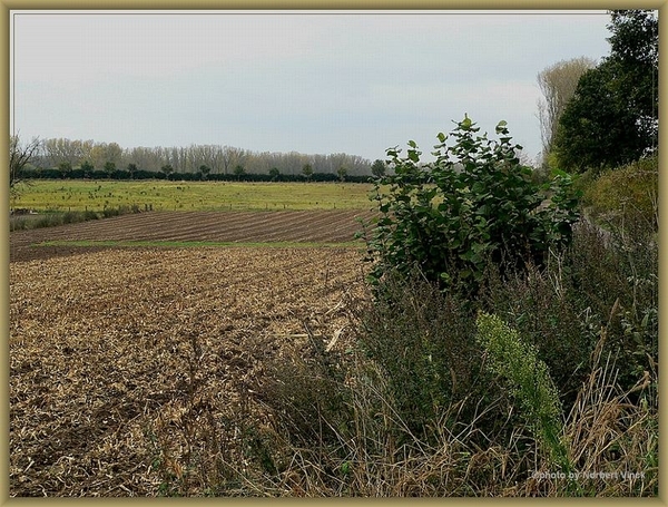 sized_sized_P2000597a senioren KBC faluintjes