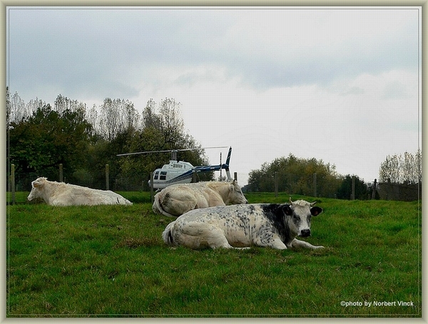 sized_sized_P2000599a senioren KBC faluintjes