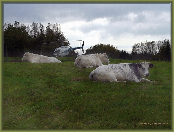 sized_sized_P2000600a senioren KBC faluintjes