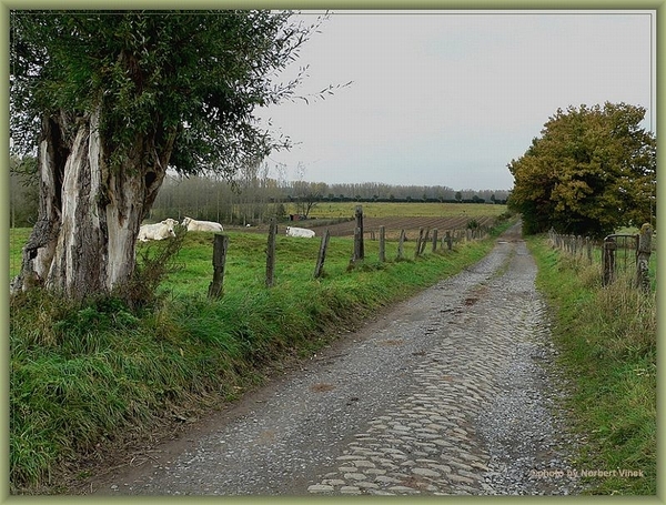 sized_sized_P2000601a senioren KBC faluintjes