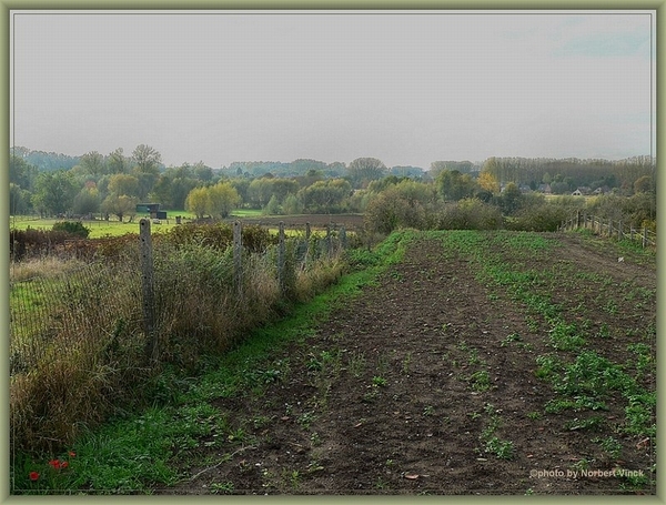 sized_sized_P2000624a senioren KBC affligem