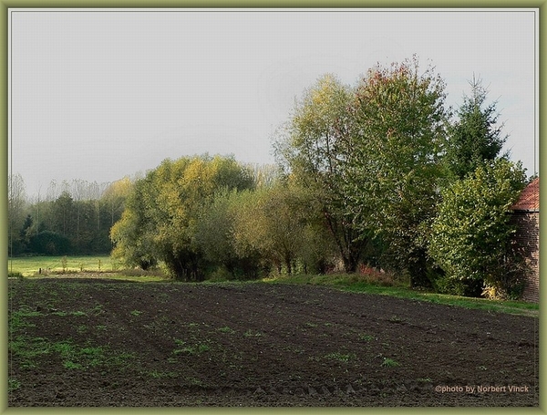 sized_sized_P2000628a senioren KBC affligem