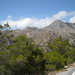 14 tussen shinokapsala en agios  ioannis