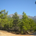 274 bossen van agios ioannis