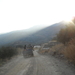 292 terug van het werk