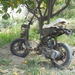 188 schroot in mirsini