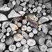 1gekloofd hout